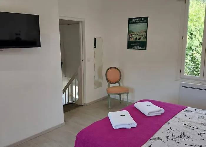 Maison Avec Jardin הונפלר